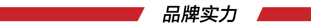 6品牌實(shí)力（紅條）